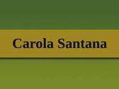 Carola Santana Convenio Marco X REGION