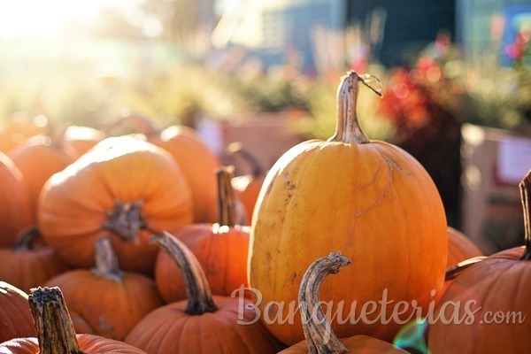 10 ideas de comida espeluznante para Halloween