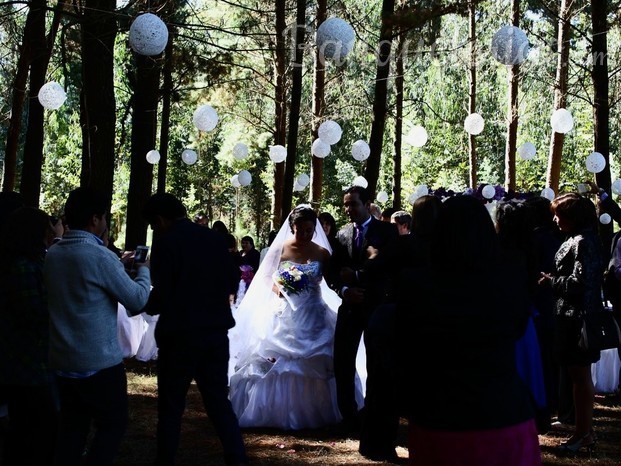 Ceremonias en el bosque.