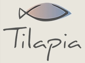 Tilapia Restaurante