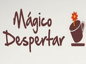 Mágico Despertar