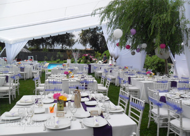 Terra Eventos 