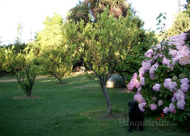 Jardín 