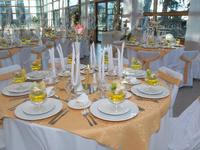 Eventos Dinner