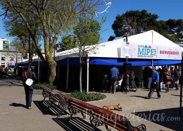 Toldo evento Plaza de Concepción