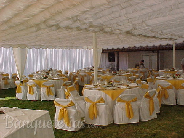 Carpa eventos 