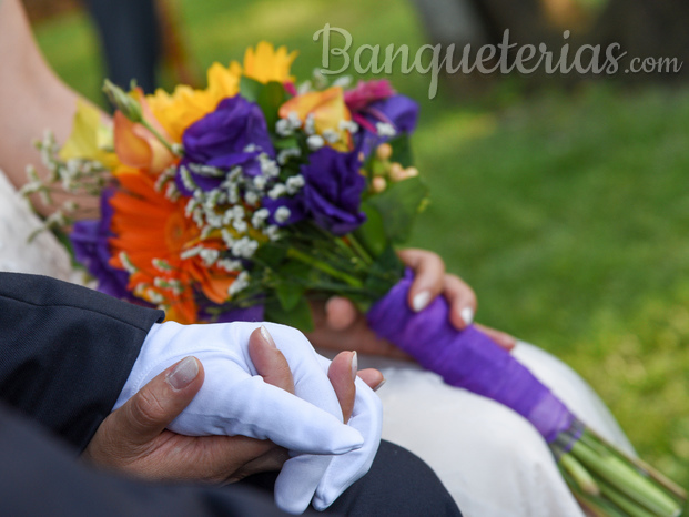 Mi Matrimonio 