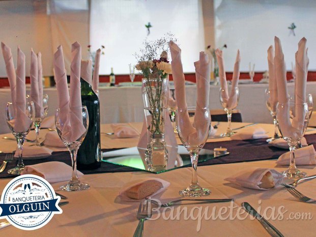 Banqueteria Olguin 