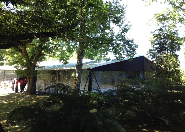 Carpa Negra en Región de Los Rios