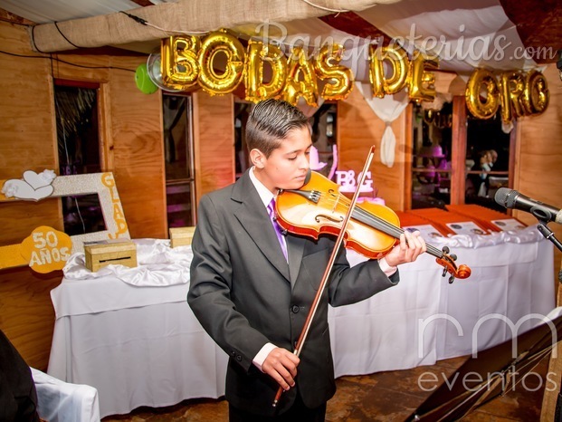 Violín 