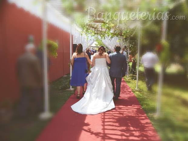 novios entrando a la pergola