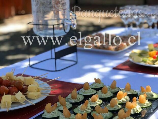 www.elgallo.cl